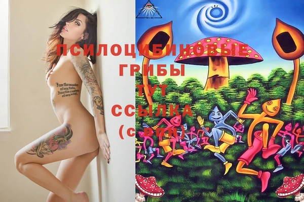 амфетамин Няндома