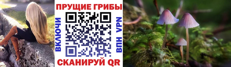 Галлюциногенные грибы мухоморы  наркота  Лабинск 