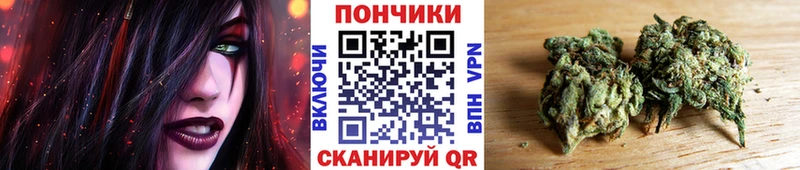 Бошки Шишки гибрид  закладка  Лабинск 